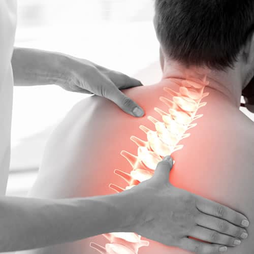 Expertos en Fisioterapia - Clínica Elvia